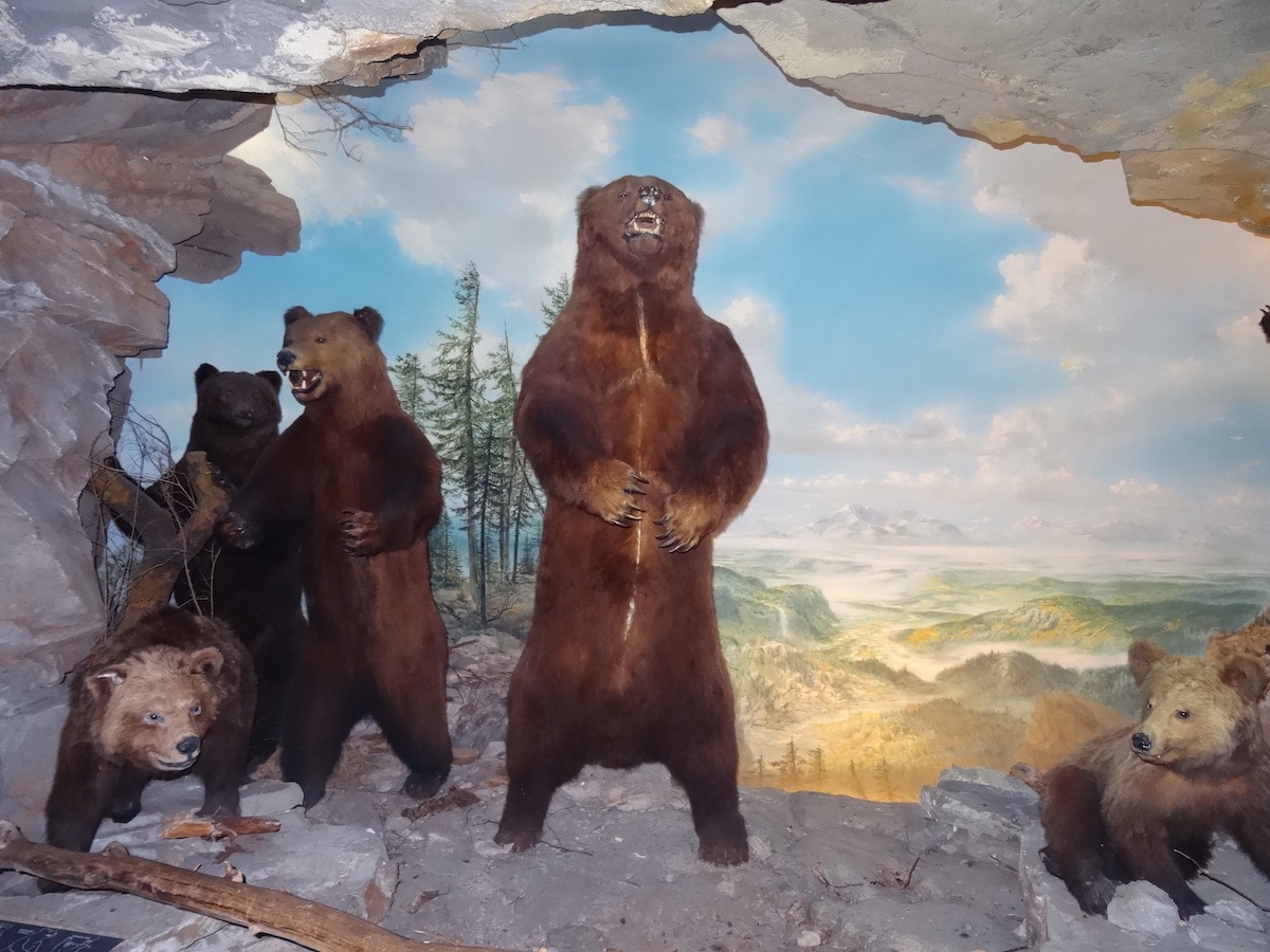 Дом природы в Зальцбурге